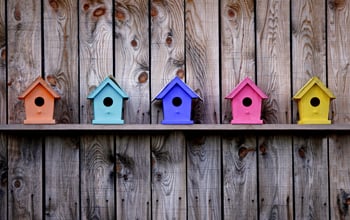 Colorful bird feeders